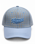 stripe baseball cap in blue